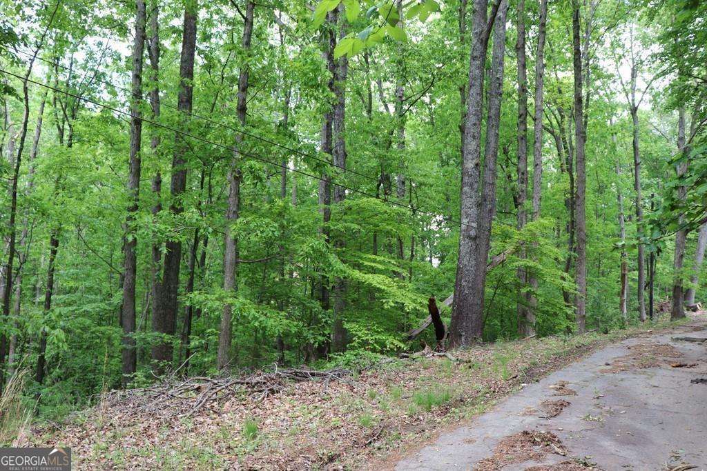1.6 Acres, Residential Land
